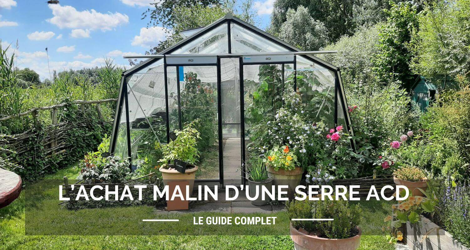 Quel est le prix d'une serre ACD ? Le guide complet pour un achat malin