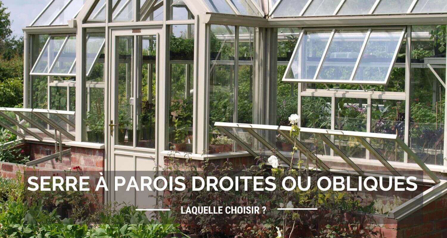 Serre à parois droites ou obliques : quel modèle choisir pour votre jardin ?