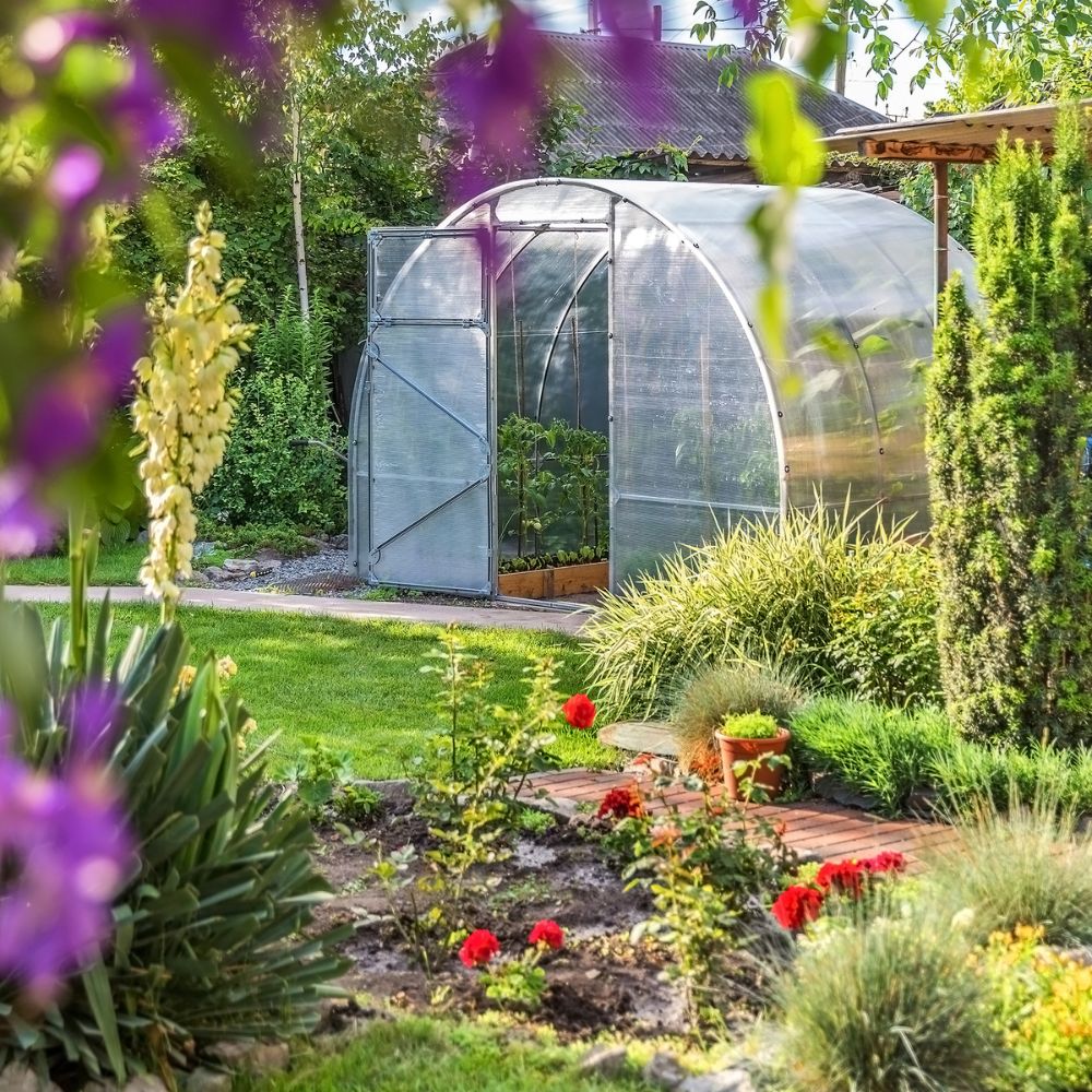 Serre de jardin tunnel au meilleur prix, idéale pour les tomates