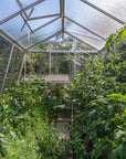 Vue de l'intérieure de la Serre de jardin en verre S110 de la marque ACD ayant une surface de 22.68 m2