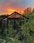 Une Serre de jardin en verre S204 de la marque ACD de 11.32 m2 exposée dans un jardin