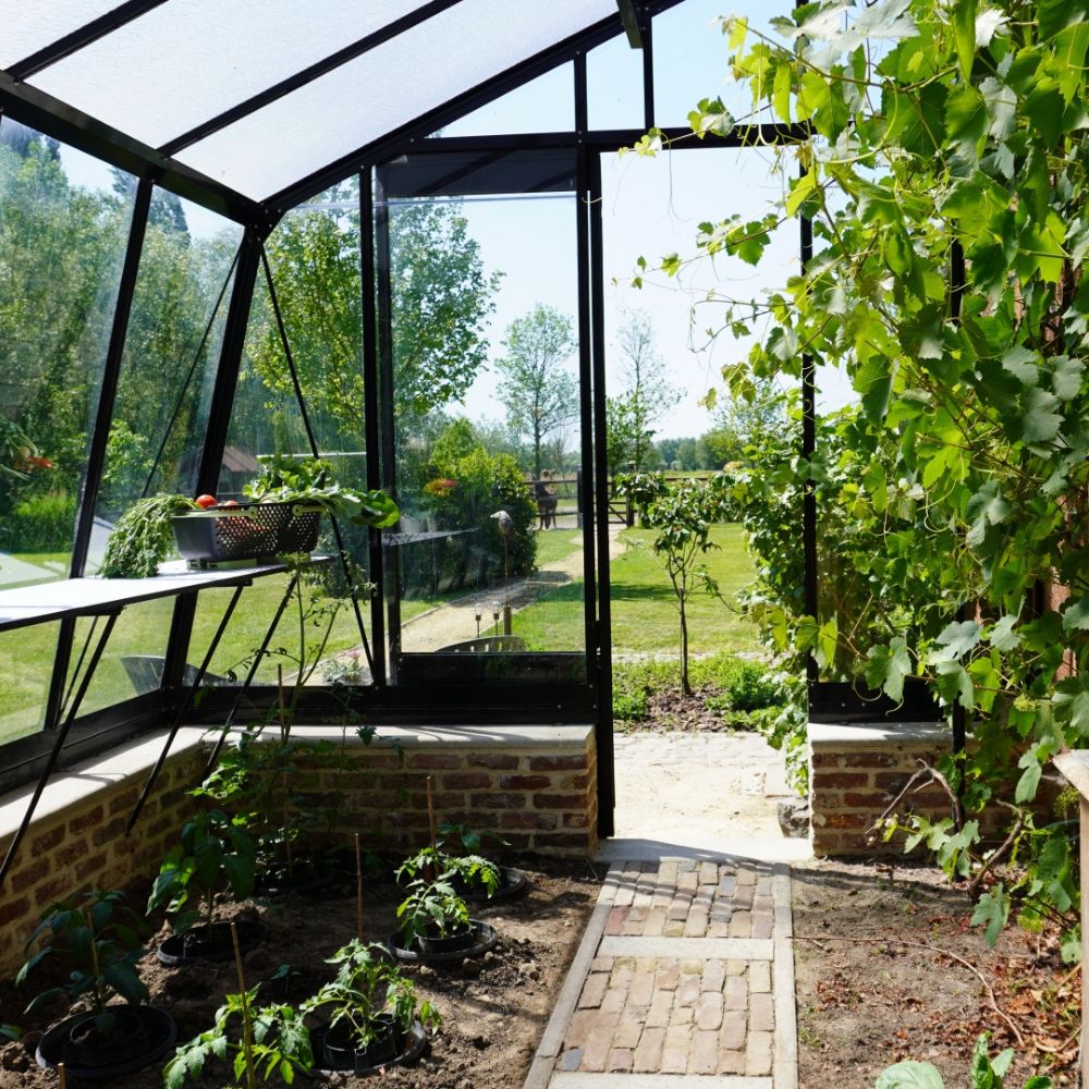 Intérieur de la Serre adossée en verre MS306 ACD - 13.44 m2 - parois obliques