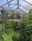 Intérieur de la Serre de jardin en verre S105 de la marque ACD faisant 11.35 m2