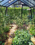Serre de jardin en verre S108 fabriquée par ACD en aluminium