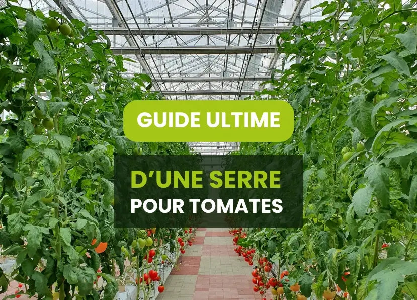 Guide pour les serres pour tomates
