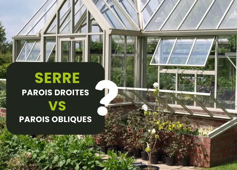 Serre à parois droites ou à parois obliques ? Que choisir