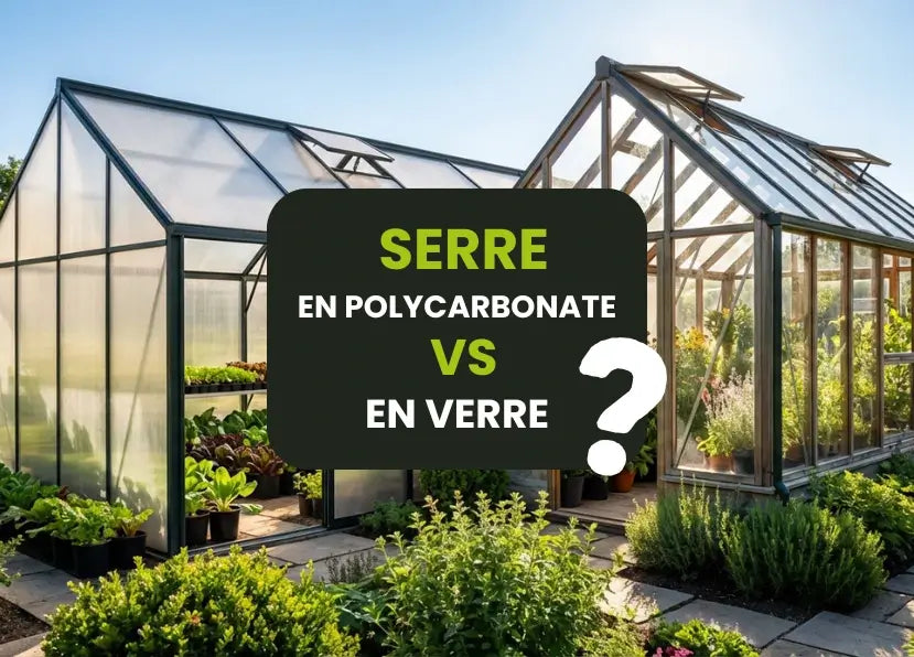 serre en polycarbonate ou en verre ?