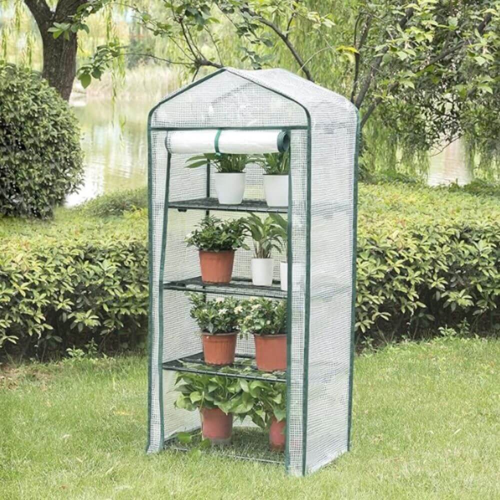 Décor de la Mini serre de jardin en hauteur