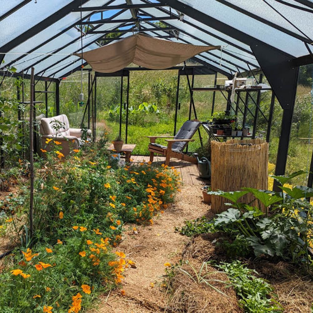 Intérieur de la serre en verre ACD R410H pas cher