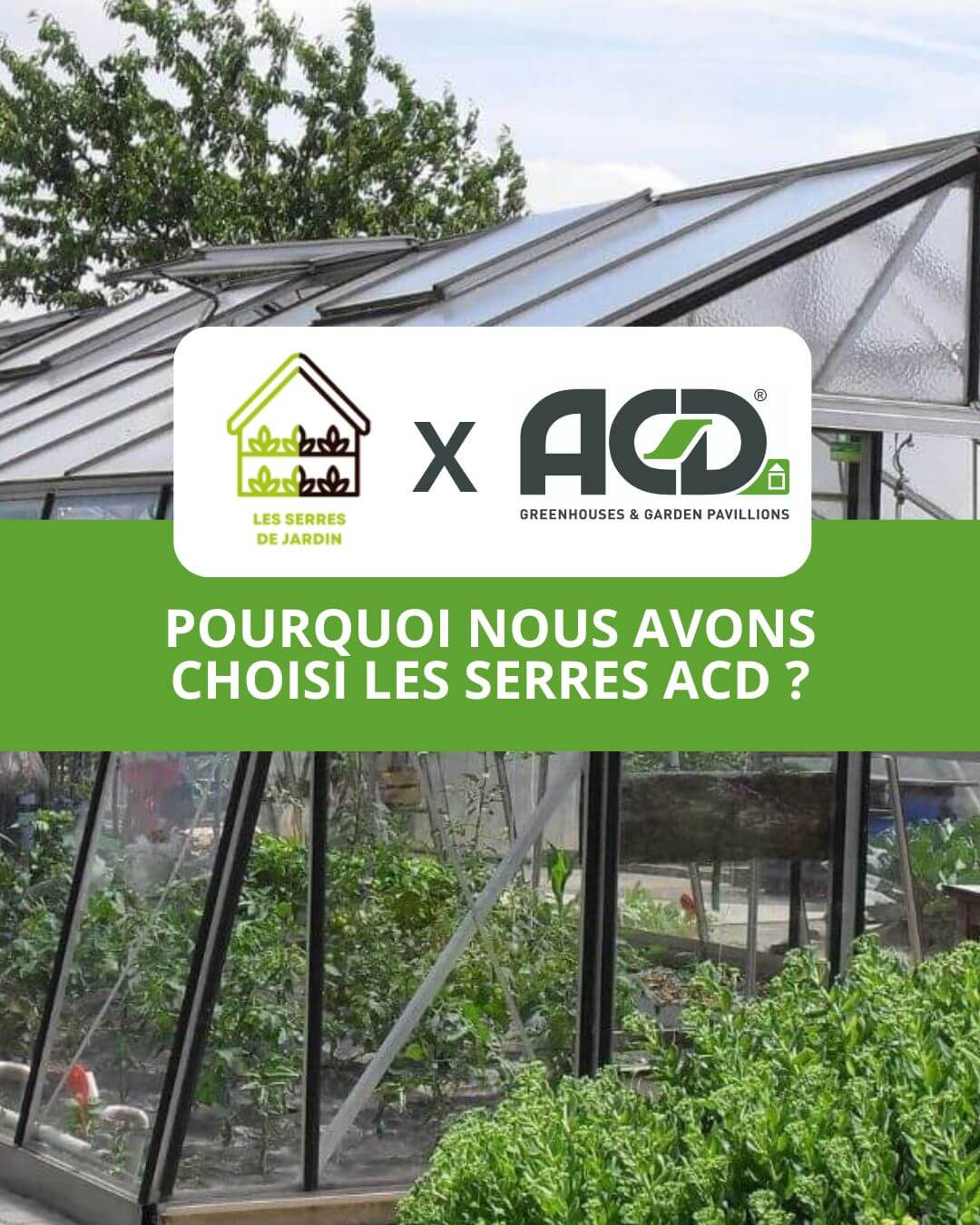 Acd Pesh Serre Serranova 24 - Aluminium 7m² - Verre trempé - ACD – Les serres de ...