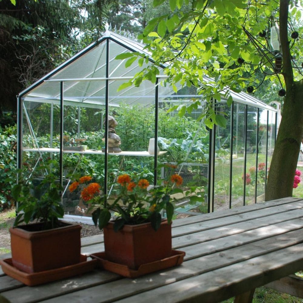 serre-de-jardin-acd-r305-alu