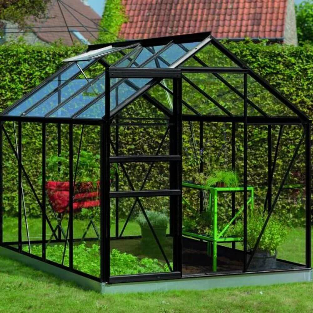 Serre de jardin en verre 5m2 Intro grow Ivy ACD noir