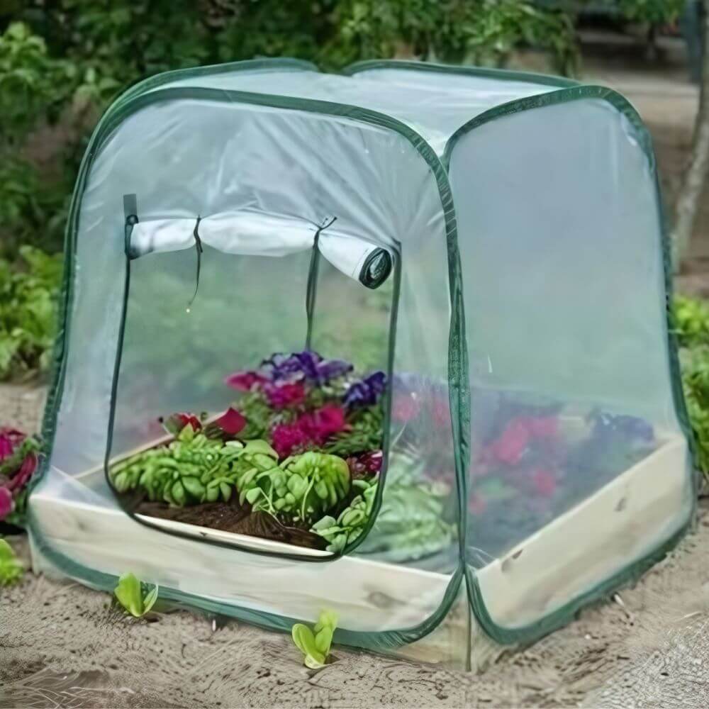 serre de jardin portable avec plantes