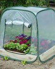 serre de jardin portable avec plantes