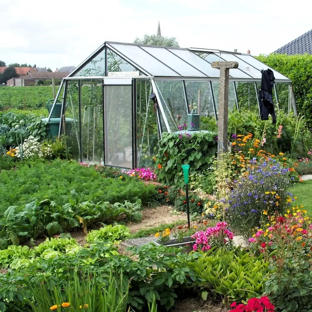 Serre en verre S206H Aluline ACD de profil dans un jardin