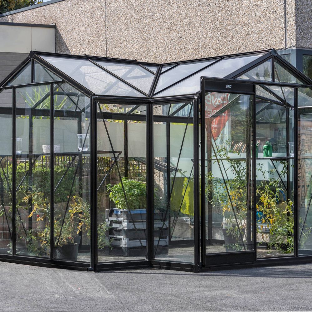 serre en verre Aurélie ACD