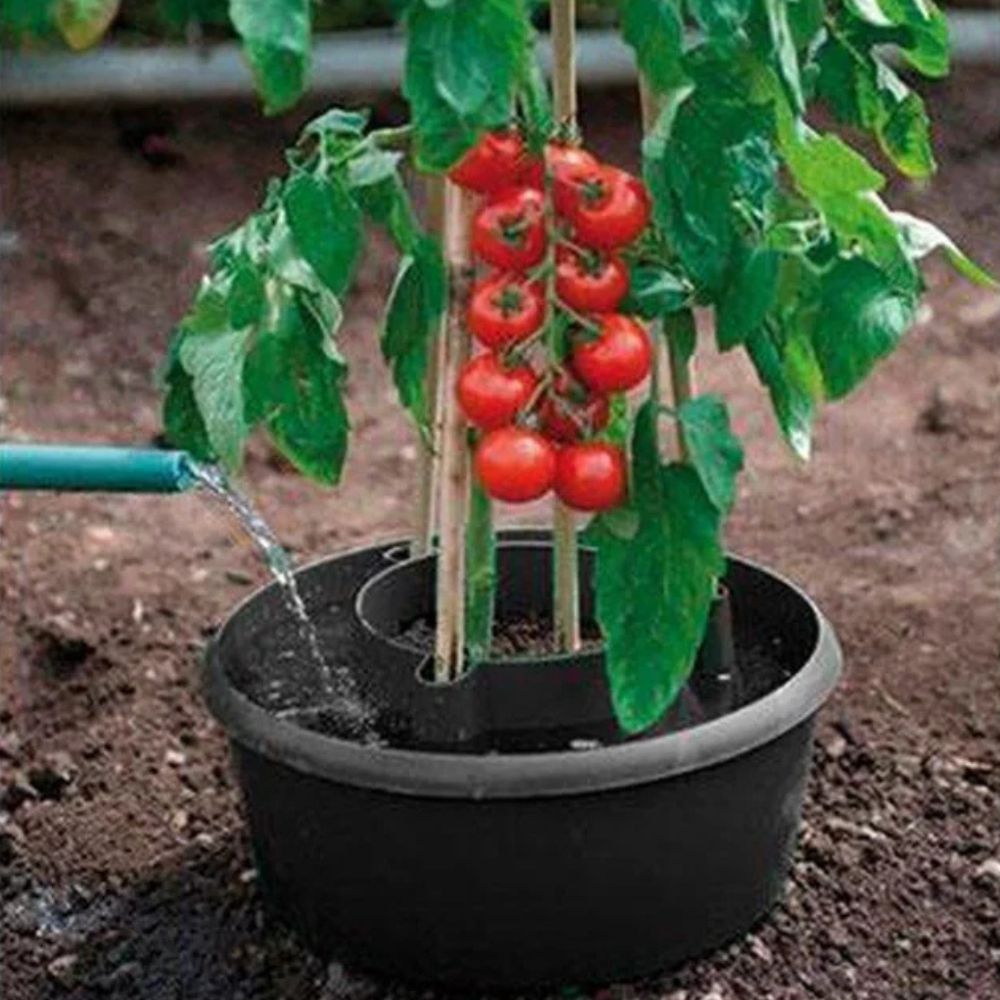 set de 3 réservoirs d'eau pour tomates ACD